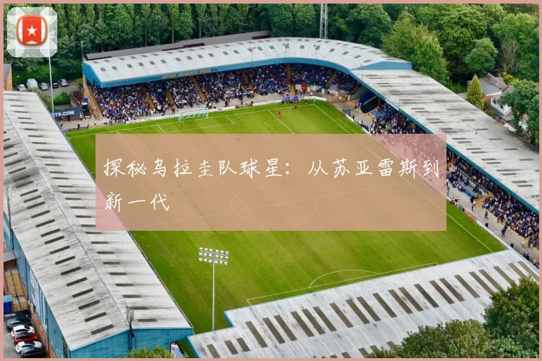 探秘乌拉圭队球星：从苏亚雷斯到新一代