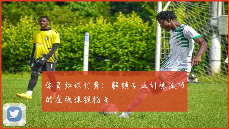体育知识付费：解锁专业训练技巧的在线课程指南
